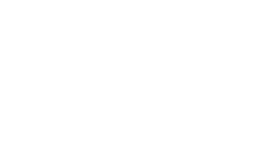 vida